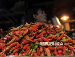 Harga Cabai Rawit Merah di Indramayu Meroket, Pedagang Kurangi Stok