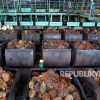 Kemendag Yakin Kebijakan B50 Tak Ganggu Pasokan CPO untuk Minyak Goreng