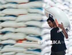 NFA: Rencana Pemerintah Setop Impor Pengaruhi Harga Beras Dunia