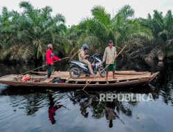 IPB: Hutan Terdegradasi Bisa untuk Pangan dan Energi