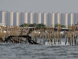 PIK 2 Angkat Bicara Soal PSN di Tangerang, Manajemen: Tak Ada Sepeser Pun Duit APBN