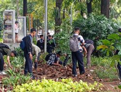 MUI Jabar Nilai Fenomena Berburu Koin Aplikasi Jagat Irasional