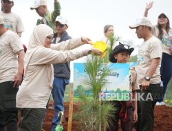 PEPC JTB Tanam 157,7 Ribu Pohon, Komitmen Wujudkan Kinerja Keberlanjutan Berprinsip ESG