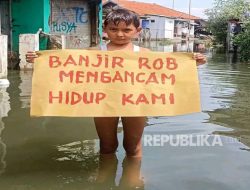 Cerita Kaseli, Rumahnya Hancur Diterjang Rob di Pesisir Eretan