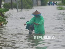 Banjir Rob Melanda Sejumlah Daerah di Pesisir Utara Jawa Tengah