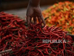 Harga Cabai Rawit Domba Masih Pedas di Kota Bandung