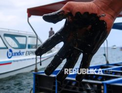Tumpahan Oli Cemari Zona Konservasi Terumbu Karang di Banyuwangi