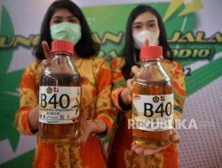 ESDM Pastikan Pengawasan Program Mandatori B40 Berjalan Optimal