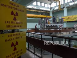 Terungkap! Pembangkit Nuklir Pertama RI akan Dibangun di Dua Wilayah Ini