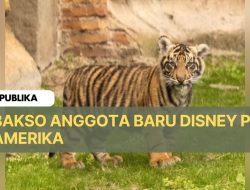 Bakso, Anggota Baru Disney Park Amerika