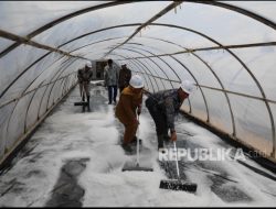 Wamendiktisaintek Sebut Unsur Kolaborasi dan Dampak menjadi Indikator Keberhasilan Kampus