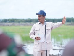 Sesuai Arahan Prabowo, Mentan: Penggilingan Swasta Wajib Serap Gabah Sesuai HPP