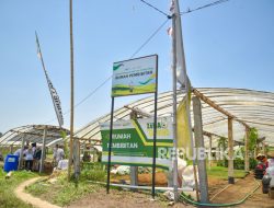 Dukung Keberlanjutan, Petrokimia Teruskan Program Smart-Eco Farming Village