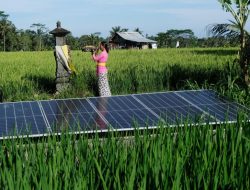Kolaborasi Masyarakat Jaga Lingkungan Tingkatkan Operasional Berkelanjutan