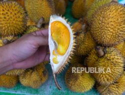 Buah-buahan yang Sebaiknya Dihindari Saat Buka Puasa Menurut Pakar Gizi