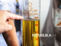 Kemas tak Sesuai Standar, Mendag Cabut Izin Dua Perusahaan Minyakita