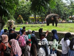 Ragunan Prediksi Puncak Lonjakan Pengunjung pada 2 April