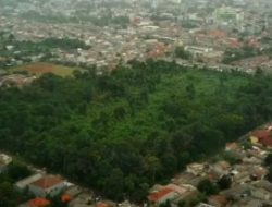 Hutan Seimprit Ini, Sisa Sejarah Hijau Masa Lalu Depok