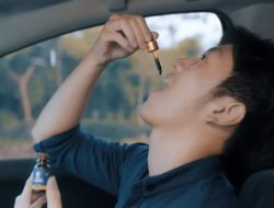 Rahasia Jaga Stamina dan Konsumsi Sehat Selama Mudik dan Lebaran