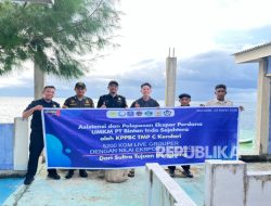 Lewat Ekspor, Kerapu Asal Wakatobi Tembus Pasar Hongkong