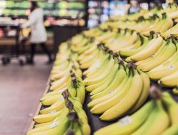 Perubahan Iklim Ancam Produksi Pisang