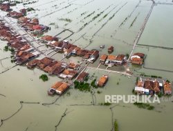 Timbulsloko: Bertahan di Antara Abrasi dan Harapan