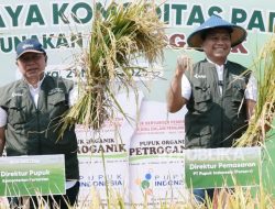 Pupuk Petroganik Terbukti Tingkatkan Produksi Panen Padi di Blora