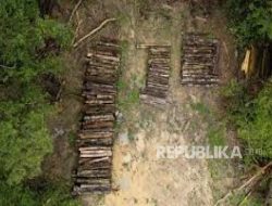 Brasil Bantah Bangun Jalan Tol untuk COP30