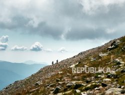 Waspada Hipotermia Saat Mendaki Gunung, Ini Gejalanya