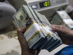 Pemerintah Tempatkan Rp 200 Triliun di 5 Bank, Indef Ingatkan Risiko Mandek