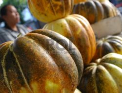 Es Blewah Madu Kurma, Ide Takjil Sehat dan Gampang Dibikin di Rumah