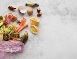 Sampah Makanan Meningkat 20 Persen pada Ramadhan, Ini Seruan dari Badan Pangan