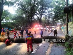 Pohon Tumbang Timpa Pengendara Motor Hingga Alami Luka di Bandung