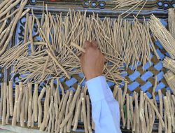 Manfaat Gosok Gigi dengan Siwak