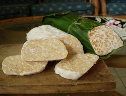 Indonesia Ajukan Tempe Masuk Daftar Warisan Budaya Takbenda ke UNESCO
