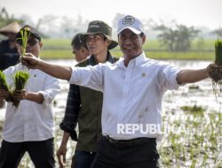 Prabowo Izinkan Ekspor Beras, Ini Respons Mentan