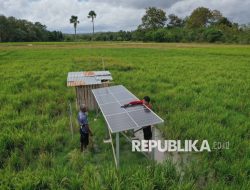 Peneliti Dorong Pelibatan Masyarakat untuk Percepat Transisi Energi