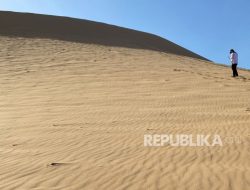 Perumpamaan Sifat Abu Bakar, Sahabat yang Paling Dicintai Nabi