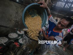 Produsen Tahu dan Tempe Keluhkan Tingginya Harga Kedelai, Efek Perang Dagang?