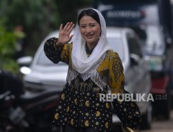 Kemasan Beras Medium Disulap Jadi Premium, Wamendag Bakal Tindak Bersama Satgas Pangan