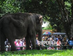 Pengunjung Margasatwa Ragunan Capai 102.928 Orang pada H+2 Lebaran