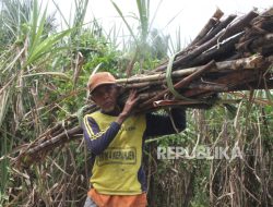 Khofifah Optimistis Jawa Timur Segera Swasembada Gula