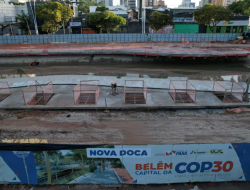 Jelang COP30, Brasil Malah Longgarkan Aturan Lingkungan
