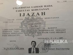 Tim Kuasa Hukum Bantah Ijazah UGM Milik Jokowi Palsu