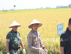 Wujudkan Ketahanan Pangan, Polres Indramayu Dukung Irigasi Padi Hemat Air