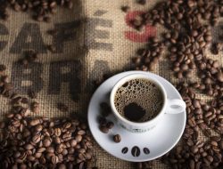 Khasiat Kopi Menurut Ibnu Sina