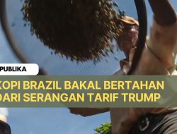 Kopi Brazil Bakal Bertahan dari Serangan Tarif Trump