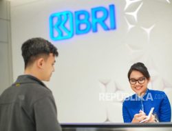Bukukan Laba Rp 13,8 Triliun di Kuartal I 2025, BRI Fokus UMKM
