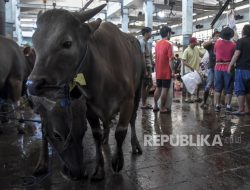 Naskah Khutbah Jumat: Menyambut Idul Adha dengan Iman dan Syukur