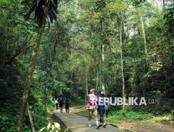 Menikmati Libur Panjang Waisak di Tahura Bandung